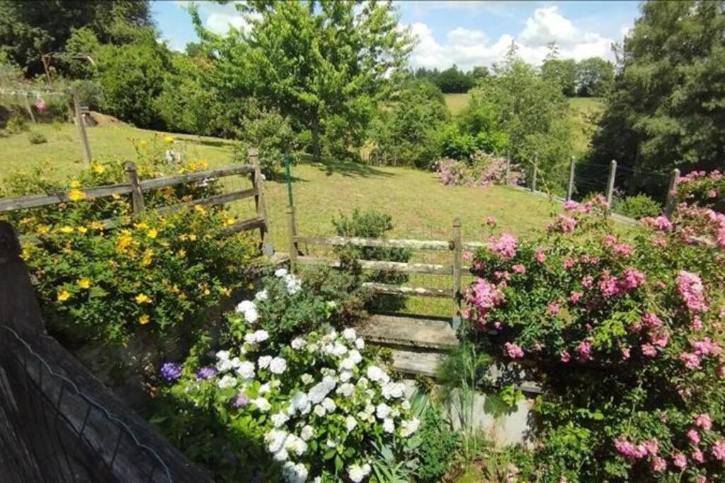 Cottage By The Chateau With Pool In National Parc Les Salles-Lavauguyon Luaran gambar