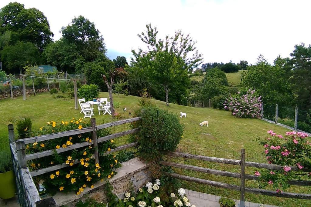 Cottage By The Chateau With Pool In National Parc Les Salles-Lavauguyon Luaran gambar